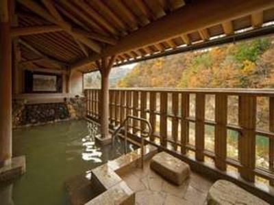 天然温泉白川郷の湯 Hotel Shirakawa  Eksteriør billede